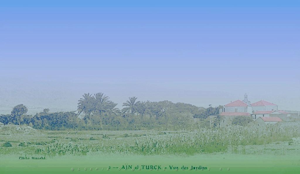 CO ha- 297- Ain el turck .jpg
